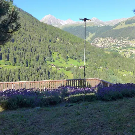 Chalet Chalet Ankie-1 *